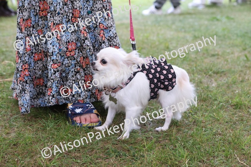 20250607-0205 - Class 4 - Little and Large