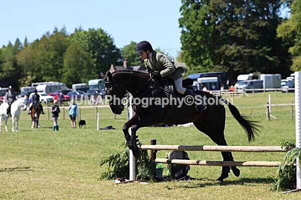 IMG_4134 - Working Hunter
