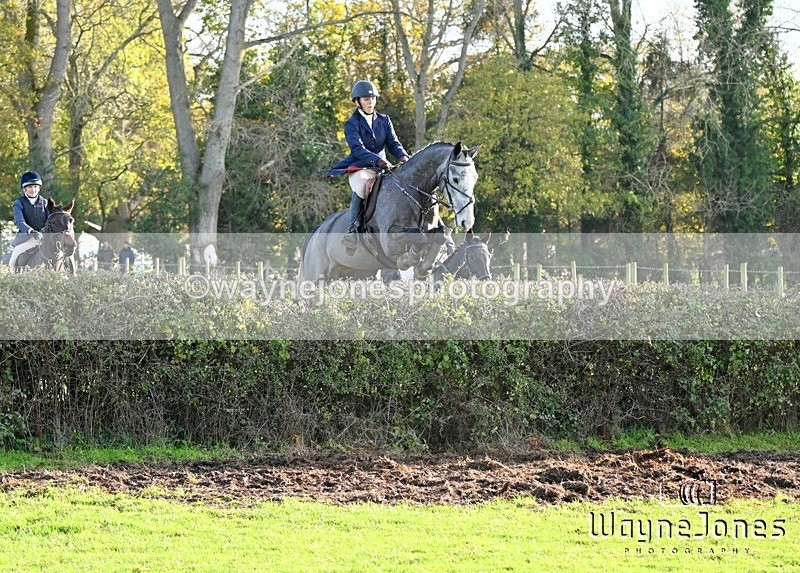 WJ6_2758 - Edited examples