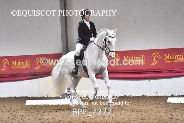 BPP_7377 - CLASS 7 ELEMENTARY CHAMPIONSHIP TEST 5