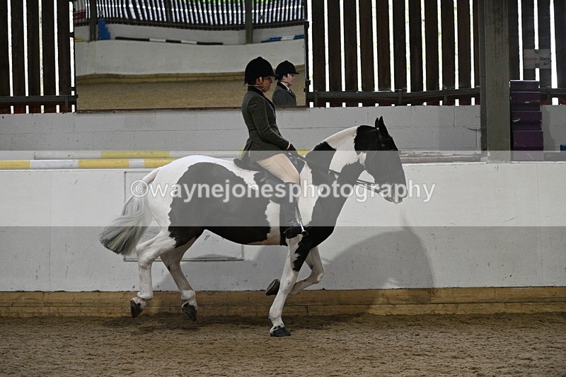 WJ7_3883 - Class 17 Ridden Cob