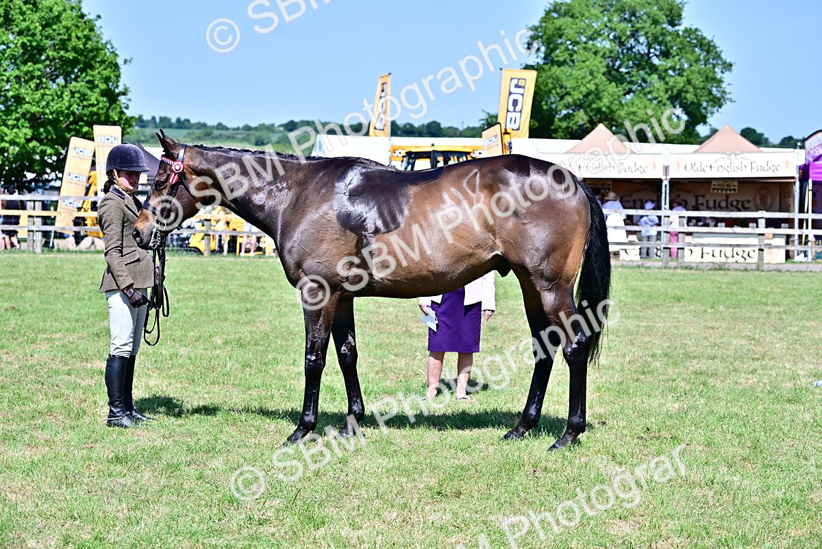 SBM_18238 - Class 99-100 - Retraining of Racehorses Ridden