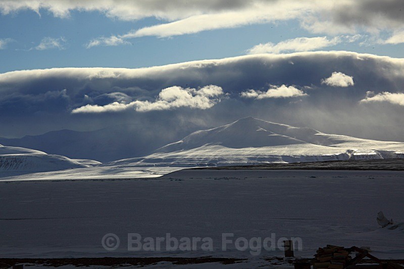 Bjonahamna 0926 - Winter in the daylight