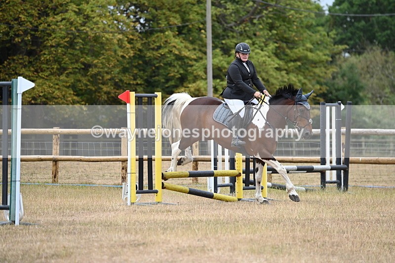 WJ6_0082 - Class 13 Novice Jumping 60cm