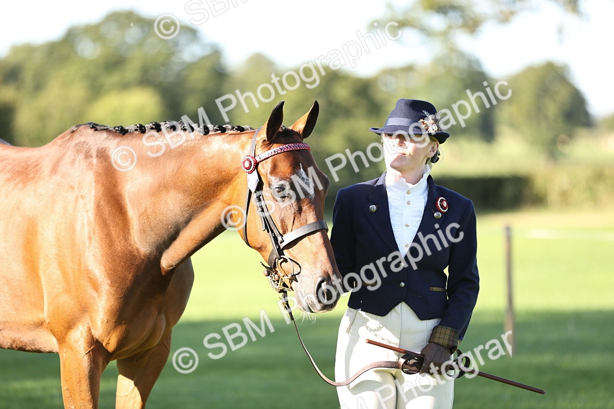 SBM_15784 - S1 - TSR in Hand Horse & Pony Showing
