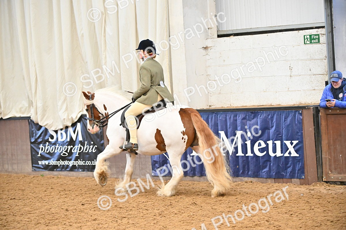 SBM_002642 - Class 28,29 - Ridden Irish & Coloured