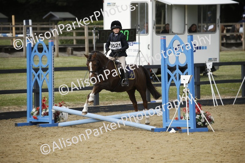 20250622-1428 - 40cm