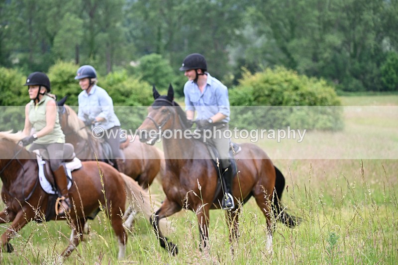WJ6_8467 - Camera 1 Gallops