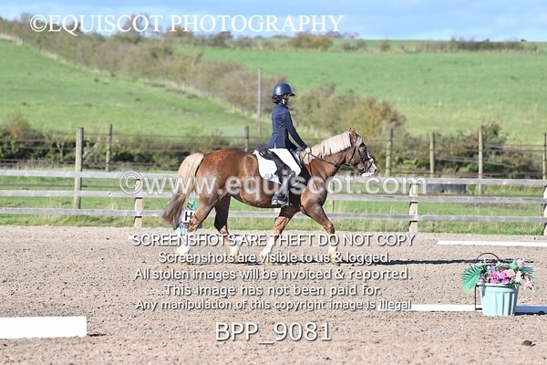 BPP_9081 - SHORT ARENA INTRO 3