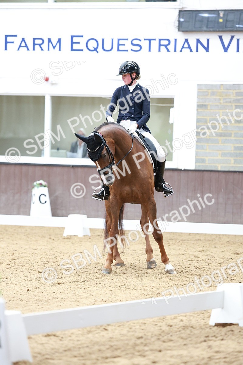 SBM_017971 - Class 15 - FEI Junior