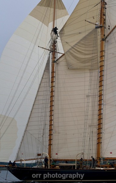  - Fife Boats