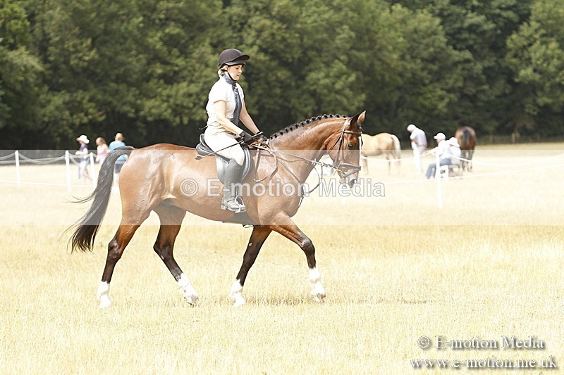 _BS_0986 - Working Hunter Championship BVRC Show 2018