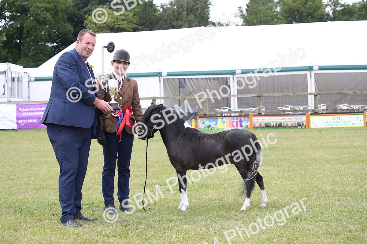 SBM_03563 - Class 23-25 - British Miniature Horse of the Year