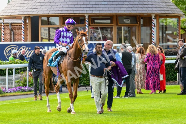 310525-Race 7-Mums Tipple-0471 - Race 7 5.00pm William Hill Best Odds Guaranteed Handicap