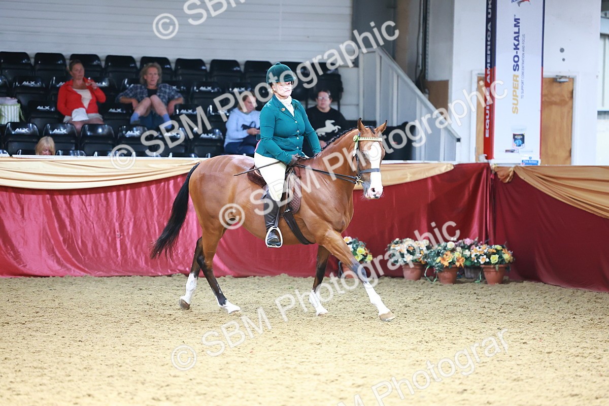 SBM_23815 - Class 905 - Supreme Final - Ridden Veteran