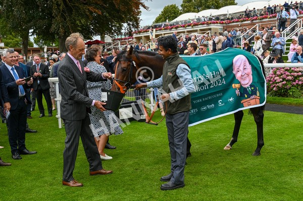 220824-Race 2-Diligently-6580 - Race 2 2.25pm Harry's Half Million By Goffs Premier Yearling Stakes
