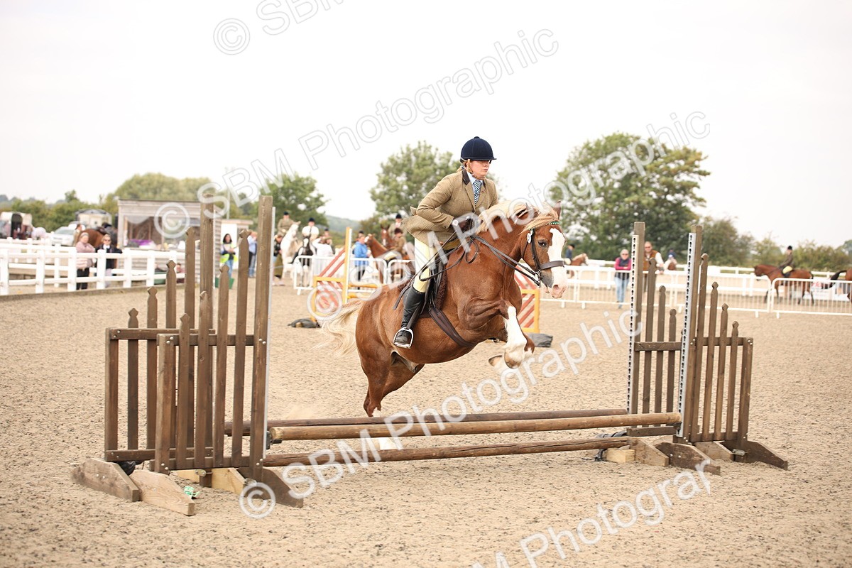 SBM_12601 - Class 405b - M&M Working Veteran 50cm 20+