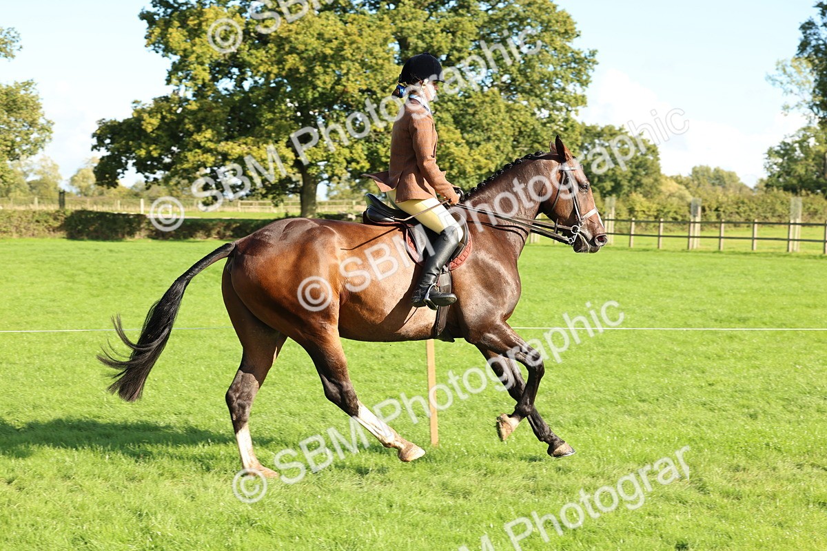 SBM_50120 - S34 - Novice & Newcomers Working Hunter