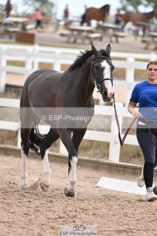 250716-145530-01511 - Trot Up 2.30 to 3.30