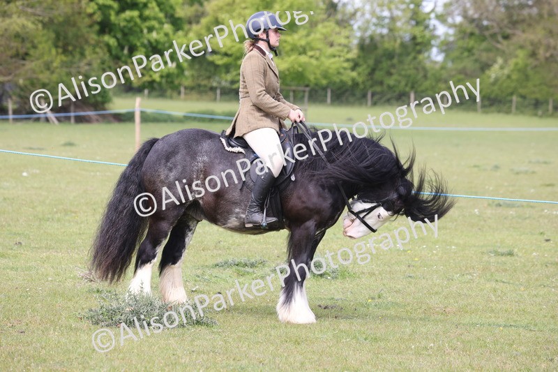 20260426-2889 - Class 33 - Best Pony 14.2hh and Under
