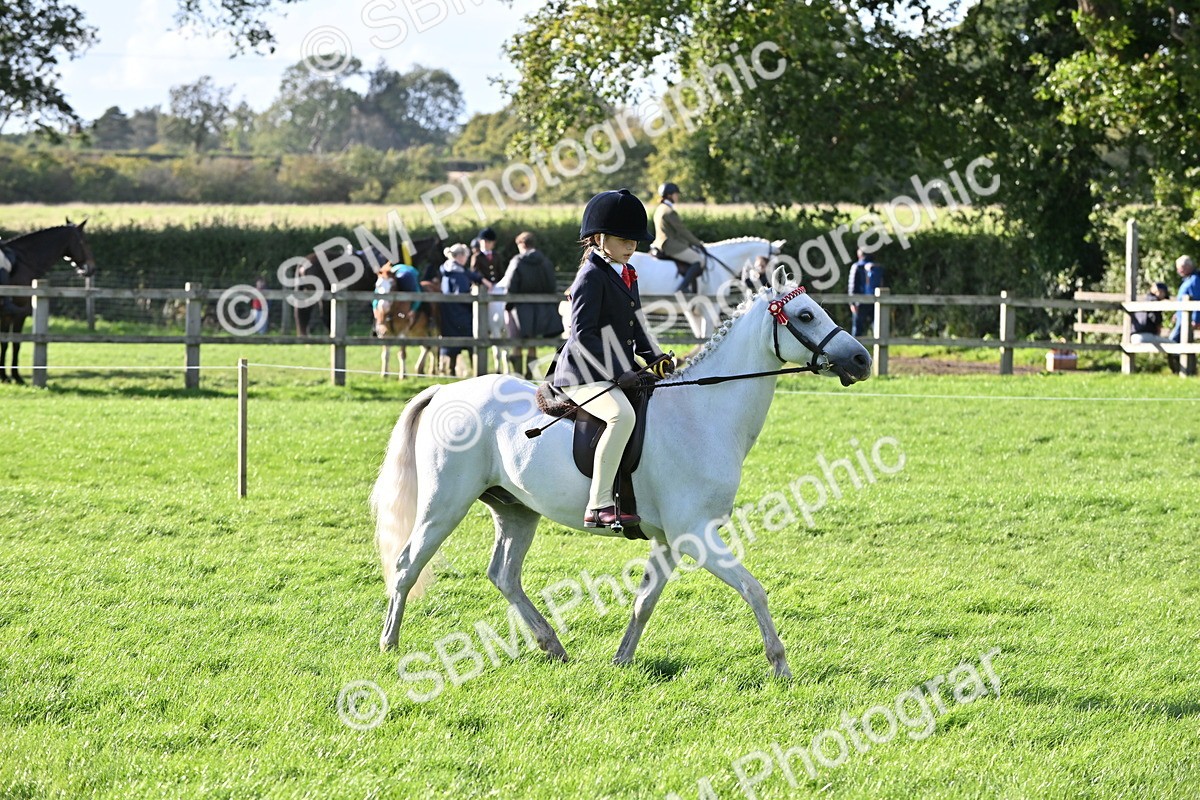SBM_51301 - S22 - First Ridden show and show Hunter Pony