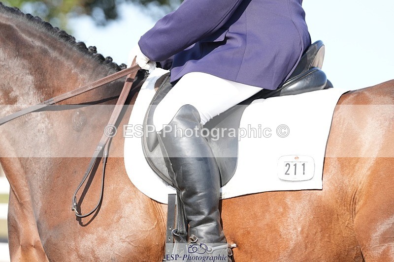 250817-164932-11969 - 211-Carey.CollettRubin's.Fanfare