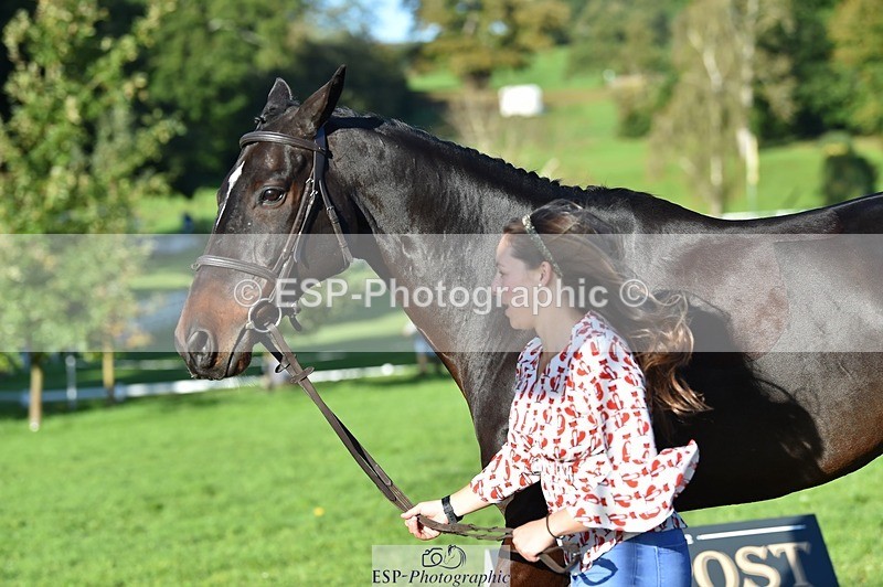 231022-101848-22405 - 430-HUNTSMAN.COM-Rachael.Watson-TrotUp+SJ