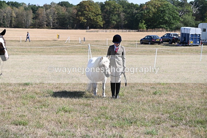 WJ6_4266 - Class 16 Condition & Turn Out