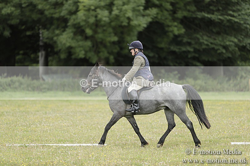 BVR160717-646 - Class 1 & 23a Dressage 16/07/17