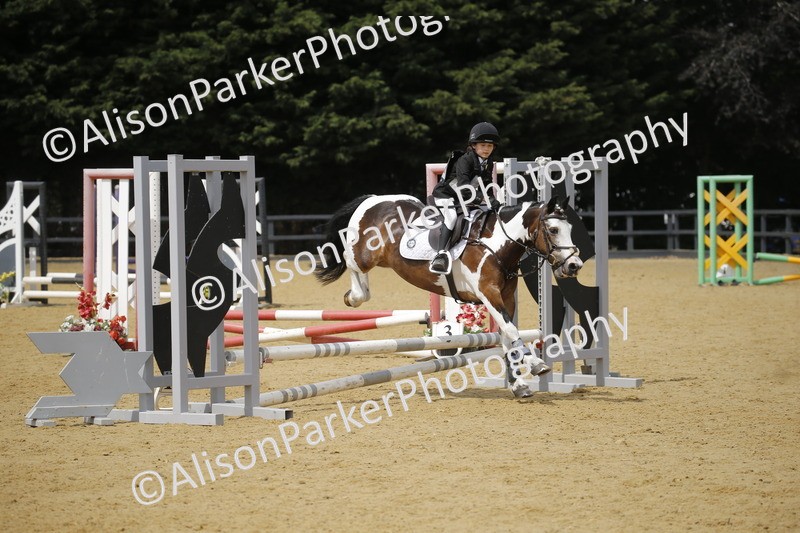 20250622-4128 - 50cm