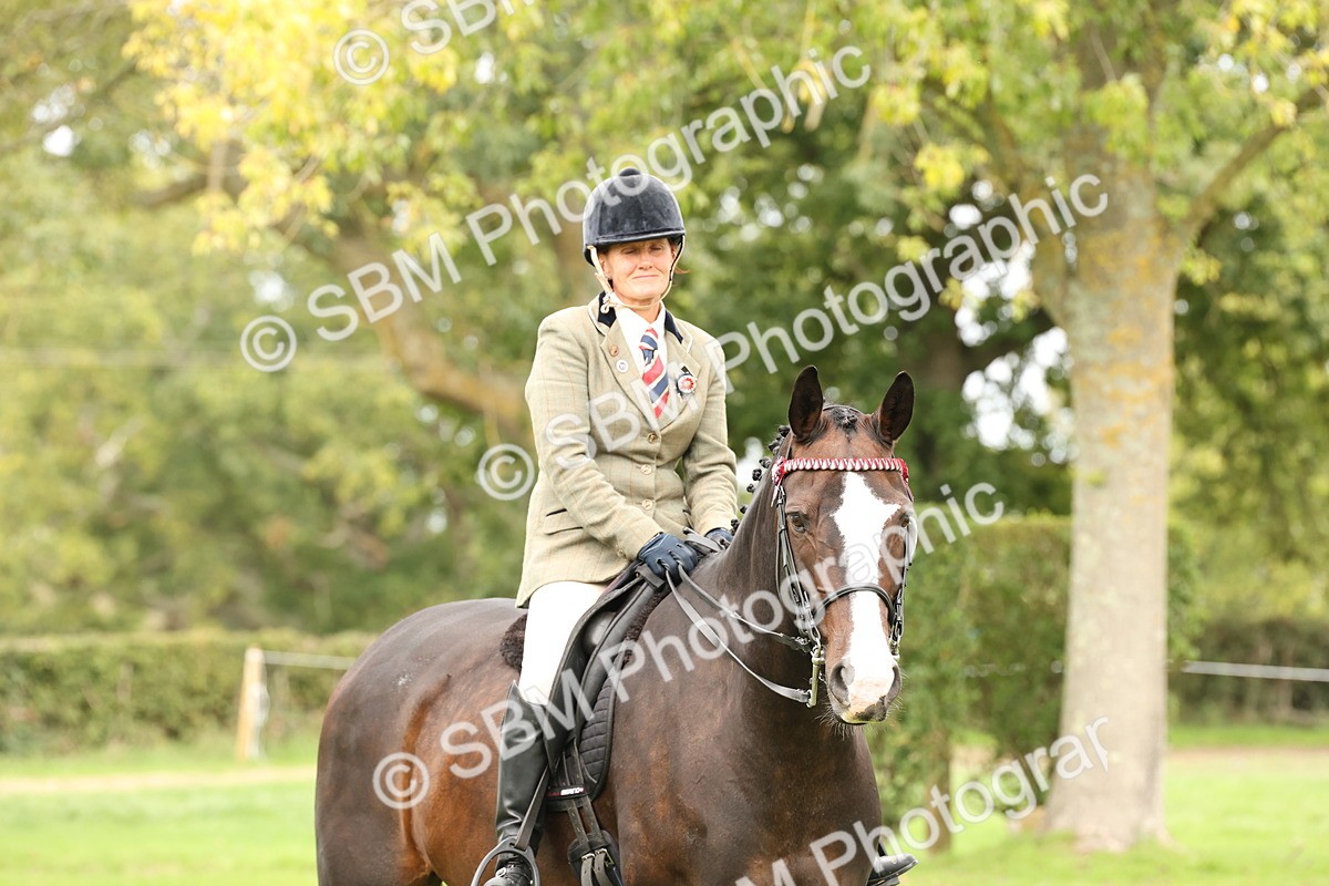 SBM_64303 - S65 - Riding Horse & Hack & Thoroughbred Ridden