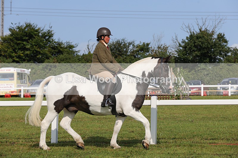 1X9A3210 - Class 28: Ridden Native/Trad Coloured Pony