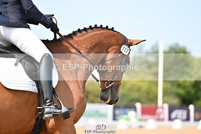 250816-134509-04747 - 117-Sophie.HawkeENORMOUSE