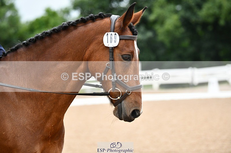 250705-100626-00145 - BRCP1 Sections BRCP1SNR, BRCP1JNR 09-30 to 10-40