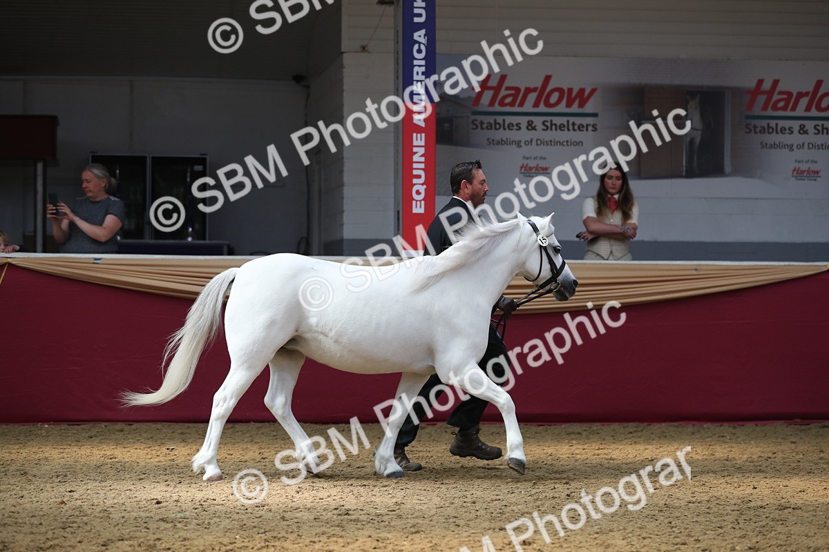 SBM_15283 - Class 501 M&M IH Supreme Final