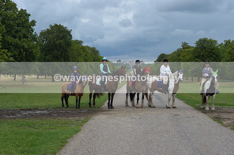 TT3_9366 - Time at Crossing 11:28 to 13:16