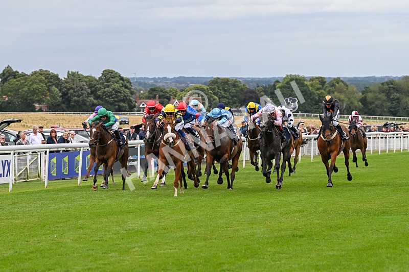 150824-Race 6-Captain Corelli-8625 - Race 6