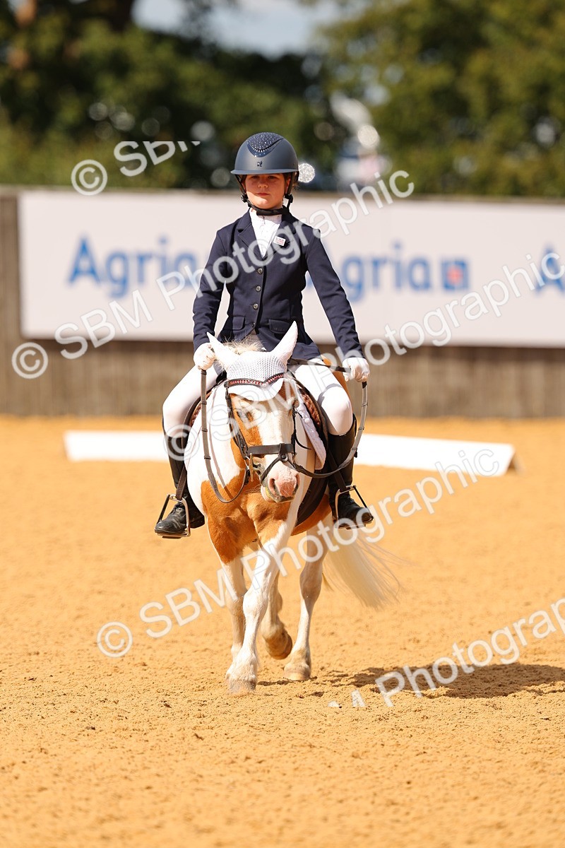 SBM_44114 - D22 - Junior Championship - Intro B