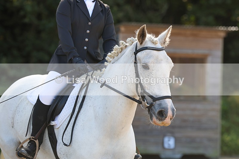 3E7A2479 - Class 1: Intro 4 2024 section A