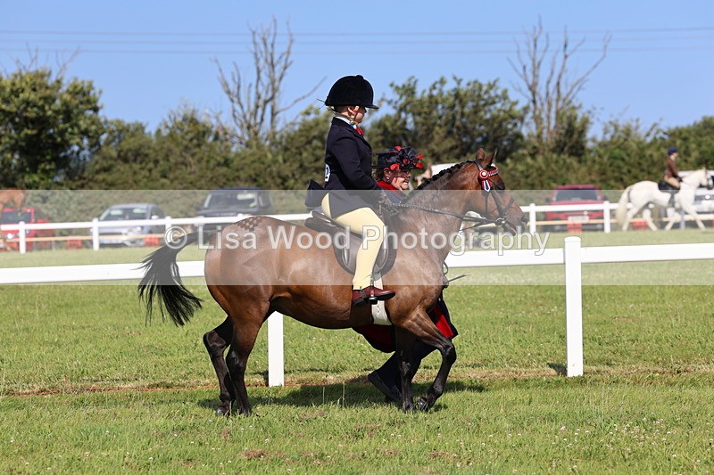 IMG_1716 - Class 31: Lead Rein SP/SHP