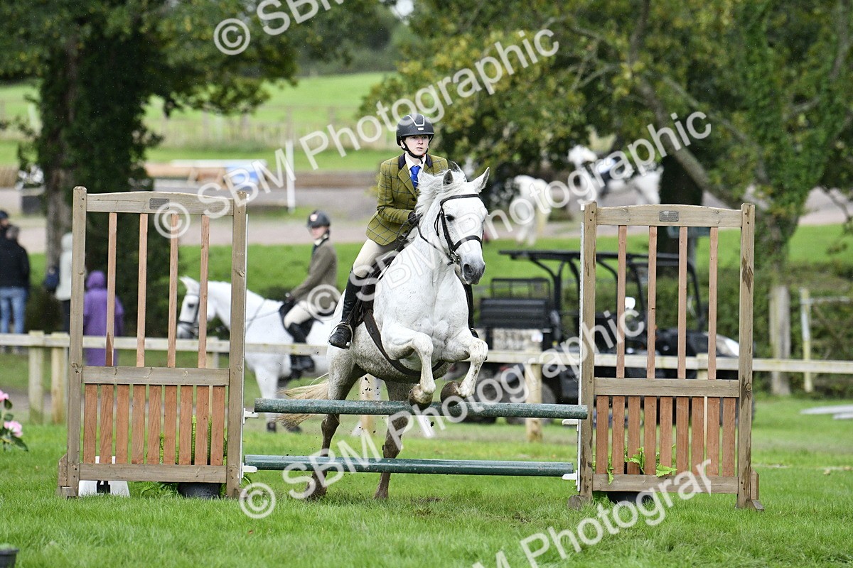 SBM_42252 - S32 - Mountain & Moorland Working Hunter Pony