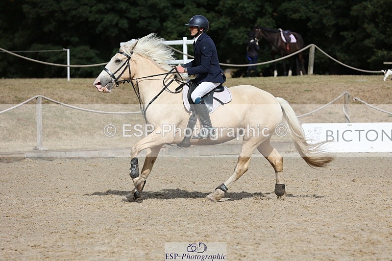 250829A-104247-01199 - Cls 7 British Novice and 90cm