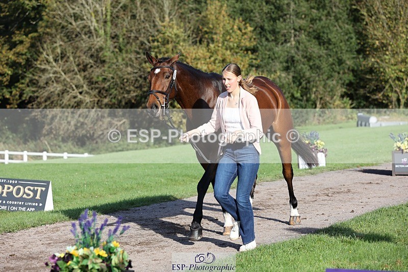 241027-093941-15424 - 364-Rose.Dalrymple-KMP.HEARTS.DESIRE