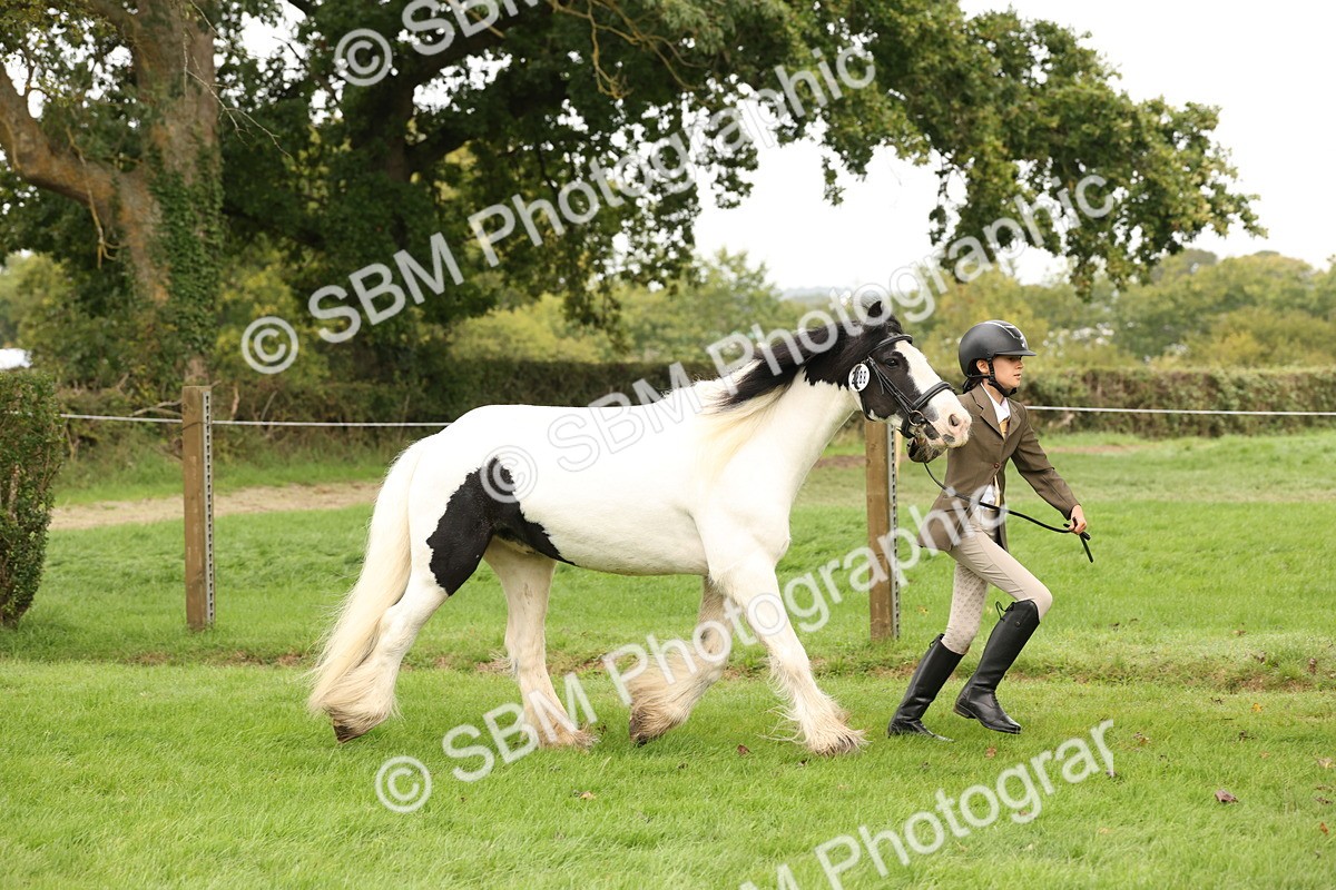 SBM_59267 - S57 - Traditional Cob In Hand