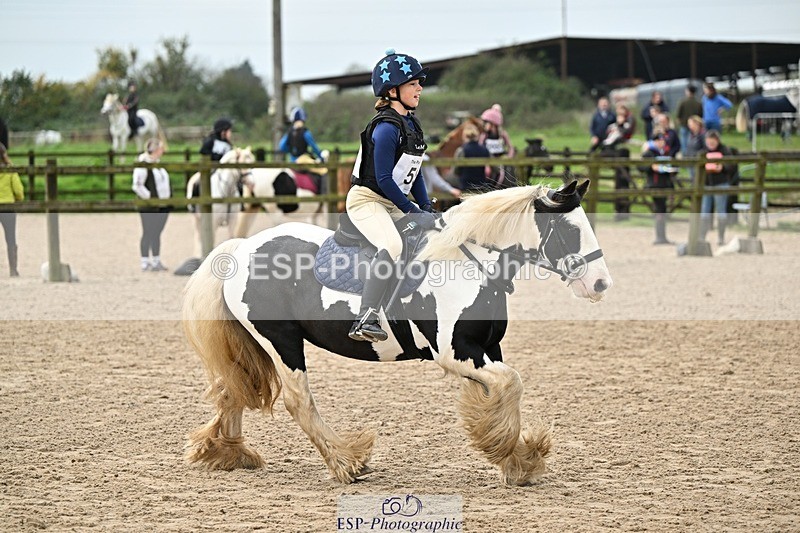 241110-120509-00593 - 50-55cm Arena Eventing