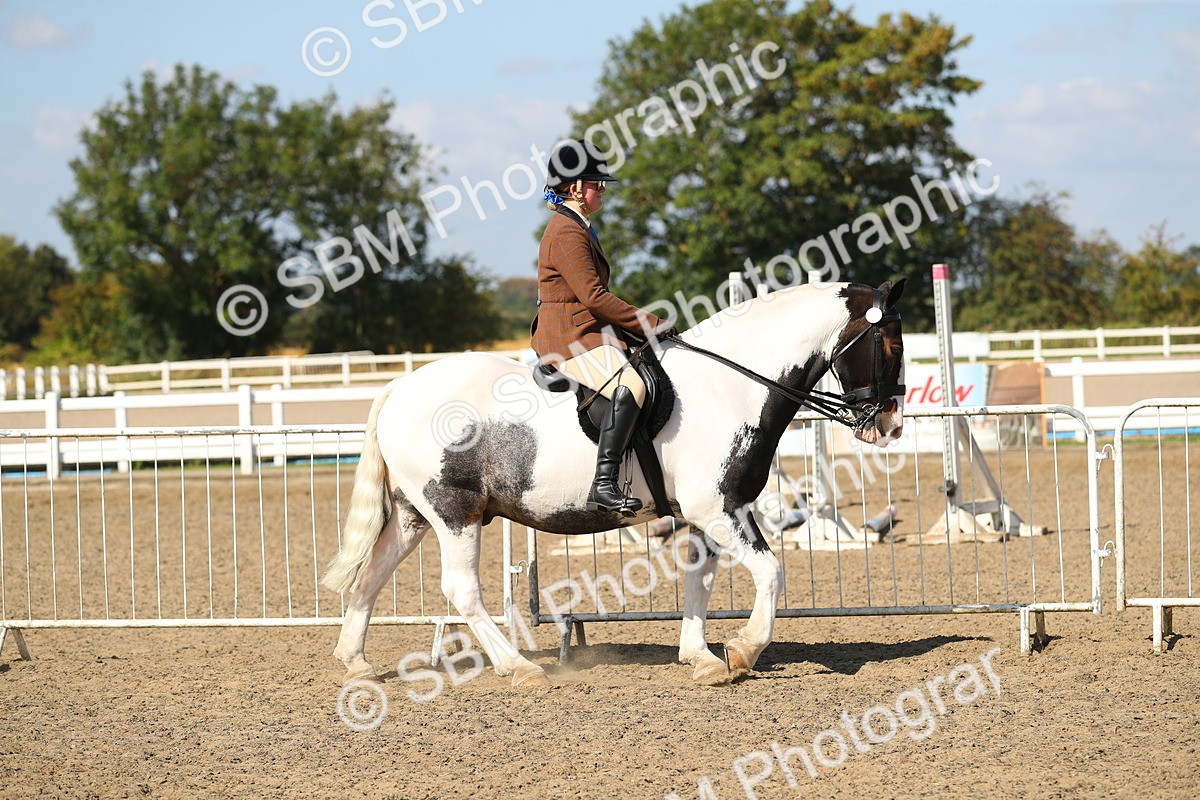 SBM_03104 - Class 44 Riding Club Horse/ Pony