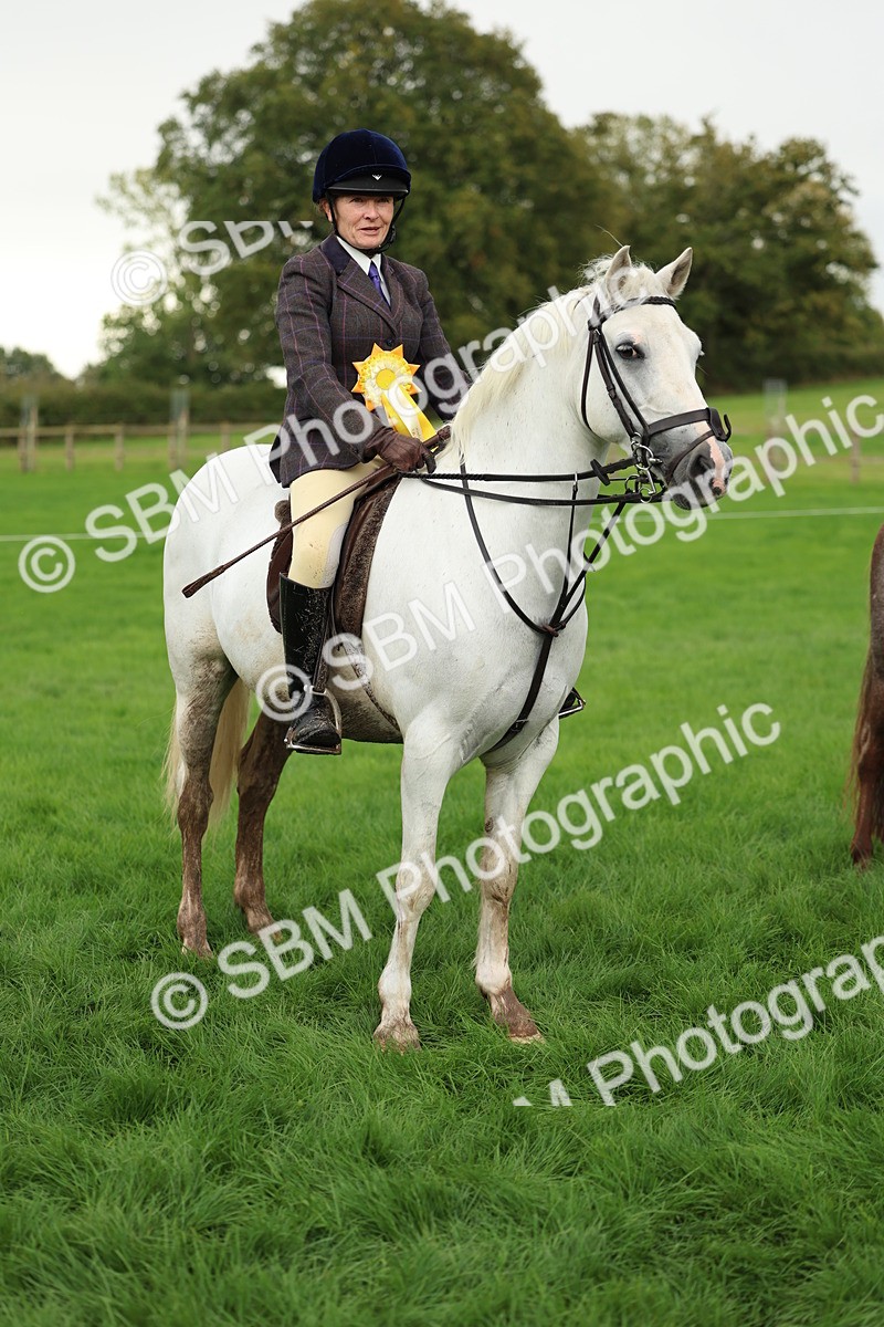SBM_41901 - S32 - Mountain & Moorland Working Hunter Pony