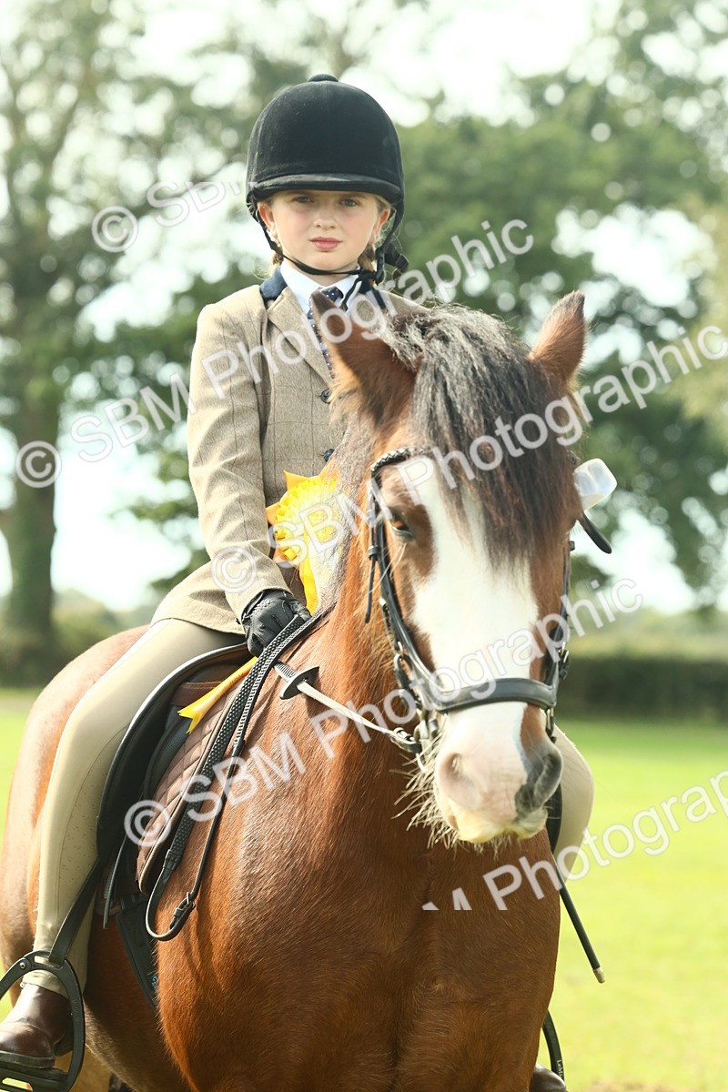 SBM_68166 - S57 - Part Bred Pony Ridden