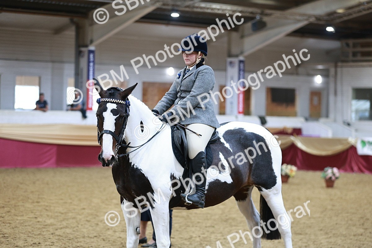 SBM_09088 - Class 12R - Regional Ridden Pre-Vet