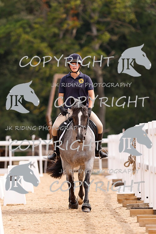_R6A2841 - Dressage Morning